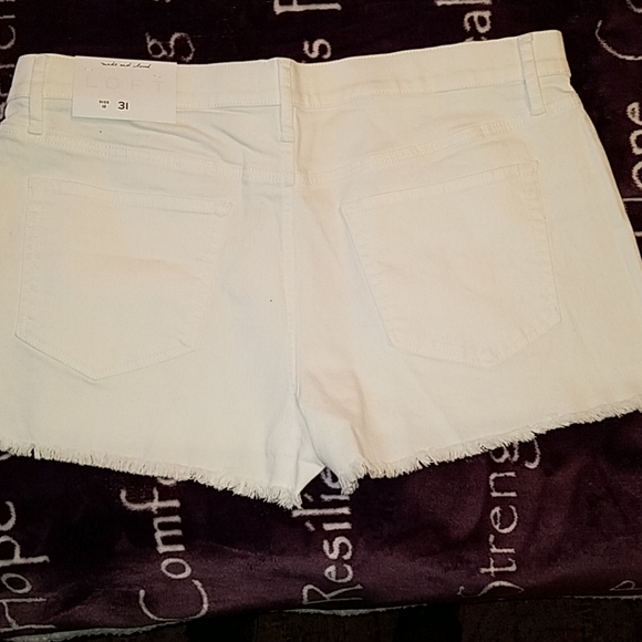 Loft Shorts - Picture 3 of 9